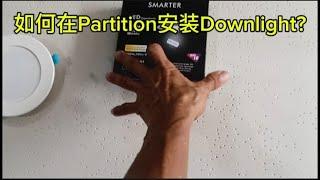 如何在 Partition 安装 Downlight ?