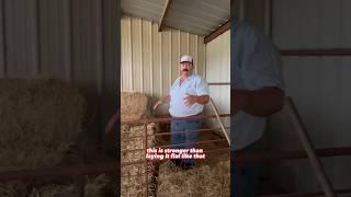 Stacking hay in the barn