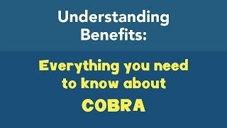 Everything you need to know about COBRA