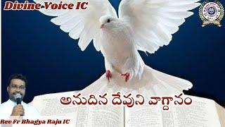 Today God's promise Rev Fr Bhagya Raju IC Rosminians//16//06//2025