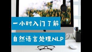 一小时入门了解自然语言处理NLP是什么  （第666期）