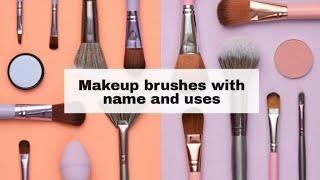 Makeup brushes and their uses/Makeup brushes for beginners/Types of make-up brushes with names