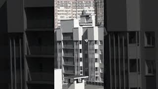 Красота по-Мурински  #shorts #питер #юмор