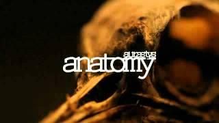 Aurastys - Anatomy