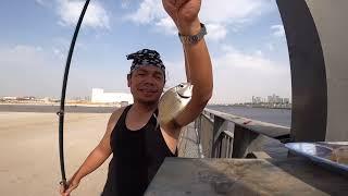 You like fishing in Dubai but Where? Yallah Habibi Come to Dubai