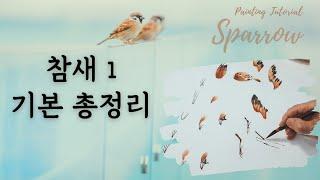 [참새/麻雀/Sparrow] 1. 참새 그리기 - 참새의 각 부분 및 기본 형태 그리기