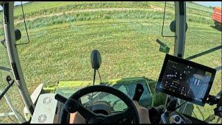 Cab View | Claas Jaguar 960 | Grass Silage | John Deere | Schuitmaker