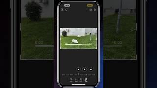 How to Flip Video in iPhone