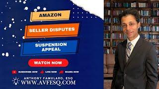 Amazon Seller Disputes: Navigating the Suspension & Appeal Process