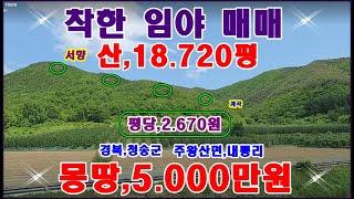 물번.240번) 아주 싼 임야 대폭내려서 임야,18.720평 몽땅,5.000만원 매매합니다 방위:서향 농림지역,보전관리지역,임업용산지,임업진흥촉진권역에 속합니다 평당,2.670원.