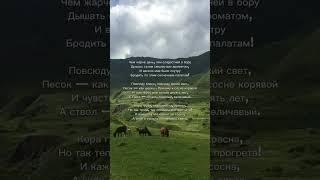 «Детство» И. Бунин Тгк: Прибежище несчастных #поэзия #стихи #бунин #писатель