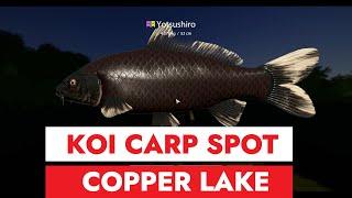 RUSSIAN FISHING 4 - COPPER LAKE - KOI CARP SPOT