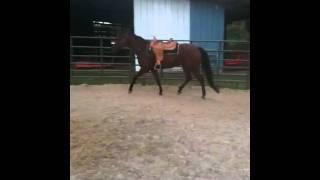 5-19-11 Round Pen