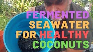 How To Make Fermented Seawater & Grow Coconuts at Higher Elevations