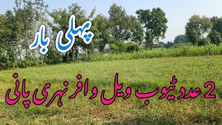 بہت سستی زرعی زمین برسئے فروخت very cheap land for sale #viralvideo #bhakhar #farming #punjab