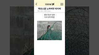 펫로스를 느껴버린 아저씨