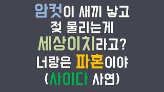 (네이트판 사연) 동물 암컷 처럼 새끼 낳고 기르는건 여자가 해야된다고? 너 같은 놈과는 파혼이야. /사이다 사연 /파혼썰 /시댁이야기 /사연라디오 /네이트판