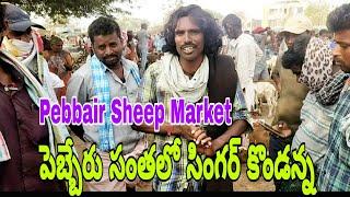 Singer Kondanna Songs-Pebbair bulls market~pebbair market~pebbair santha@RKKANNACREATIONS