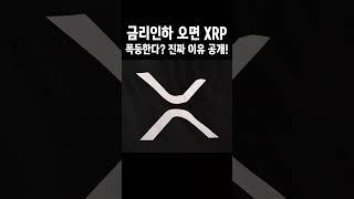 금리인하오면 XRP 떡상한다  진짜이유 공개