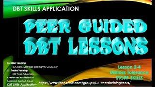 DBT Skills Application 2-4  STOPP