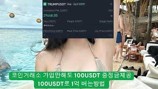 코인 기초강의｜코인 초보 공부해야 살아남는다 개념 총정리