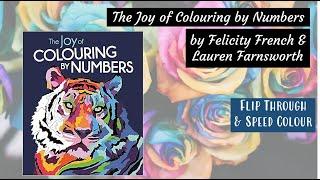 The Joy of Colour by Number | Flip through and speed colour