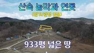 매물번호10568충북 보은/1억1000/정남향/마을떨어진 조용한 땅/산속 농막과 연못/지대높음/전망좋은 시골땅/보은 옥천 영동 상주