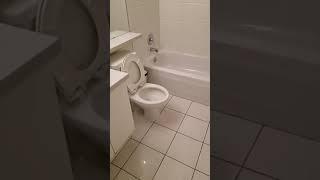 Washroom Cleaning Service| Rehobet Cleaning Service | Cleaning Service in Canada