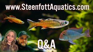 Steenfottaquatics.com Q&A, AMA, Hang Out, Goof Off