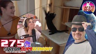 Schraubsel Reacts | Abgestürzt  Besten Clips der Woche Folge 275 | StreamClips