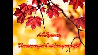 А.С.Пушкин  "Унылая пора! Очей очарованье". Осень. Музыка: Fritz Kreisler в исполнении David Garret.