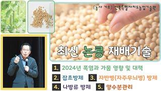 [최신 논콩 재배기술] 2024년 폭염과 가뭄으로 논콩 재배 힘드셨죠~?  경감대책 및 재배방법 알려드립니다. #논콩 #콩재배기술 #논콩재배