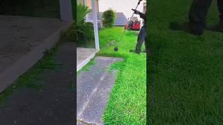 Lawn edging process part 3 | edging with precision step by step