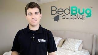 How to Get Rid of Bed Bugs in 4 Easy Steps