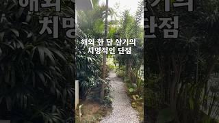 해외 한달살기의 치명적인 단점