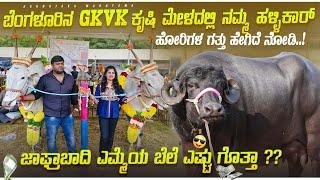 ಬೆಂಗಳೂರಿನ GKVK ಕೃಷಿ ಮೇಳದಲ್ಲಿ ನಮ್ಮ ಹಳ್ಳಿಕಾರ್‌ ಹೋರಿಗಳ ಗತ್ತು ನೋಡಿ |ದೈತ್ಯ ವಾಗಿರುವ ಜಾಫ್ರಾಬಾದಿ ಎಮ್ಮೆ#gkvk