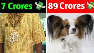 5 Expensive Useless Things Billionaires Spend Their Money On!