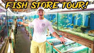 UNDERGROUND FISH STORE with a BUNCH of EXOTIC FISH!! (Full Tour)