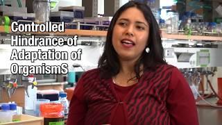 CU Boulder Engineering Faculty: Anushree Chatterjee