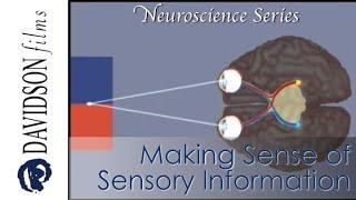 Making Sense of Sensory Information, a preview (Davidson Films, Inc.)