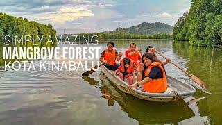 This Mangrove Forest in Kota Kinabalu Sabah is Simply Beautiful! Gayang Friendly Water House