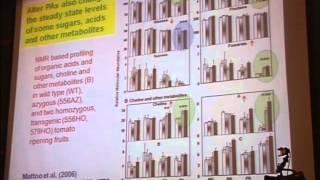 Genetic Engineering of Spermidine Pathway Enhances Phytonutrients Levels