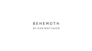 BEHEMOTH - Sam Whitaker [Metalcore Instrumental]