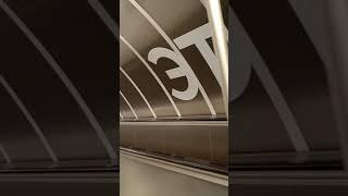 Самый длинный и самый короткий эскалатор в Московском метро #metro #москва #эскалатры