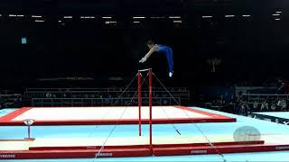 BELYAVSKIY David (RUS) - 2017 Artistic Worlds, Montréal (CAN) - Qualifications Horizontal Bar