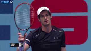 Andy Murray Hits Fan With Ace In Vienna, Walks Up To Say Sorry