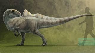 WEIRDEST Dinosaurs Ever Found!