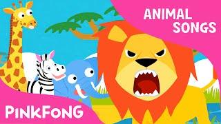 Hakuna matata | Animal Songs | PINKFONG Songs for Children