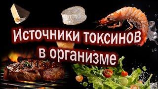 Токсины попадают в организм из этих продуктов! | Пять источников токсинов