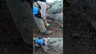 All You Need To Do To Find Gold